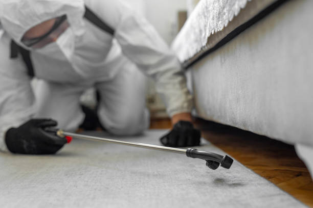 Professional Bed Bug Control technician working in Keene, TX