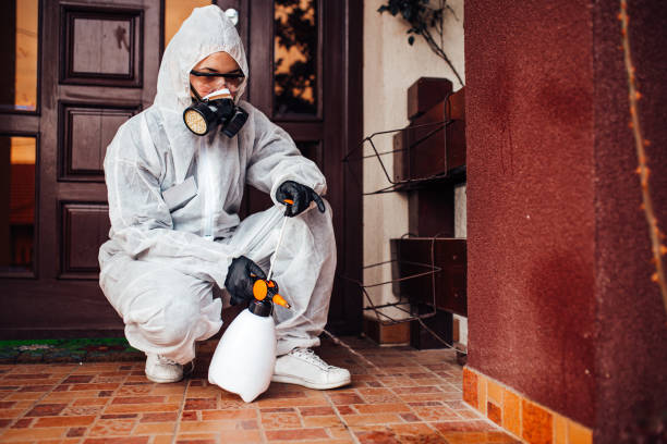 Reliable Bed Bug Control contractor in Keene, TX by Nex Pest Control